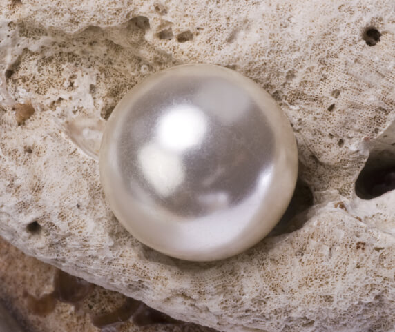 Pearl - مروارید
