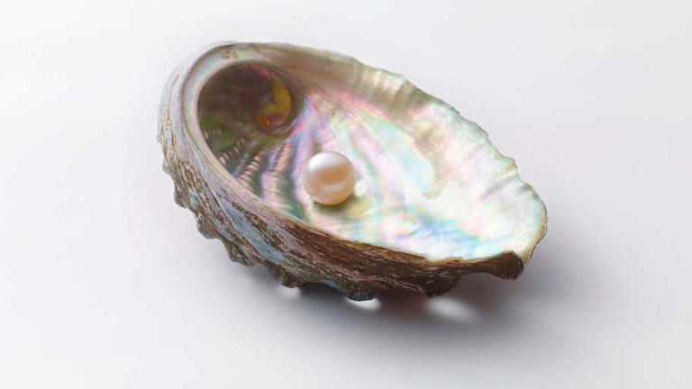 مروارید سفید